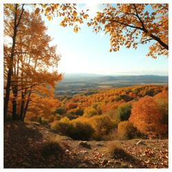 Autumn Melody (Piano Song)