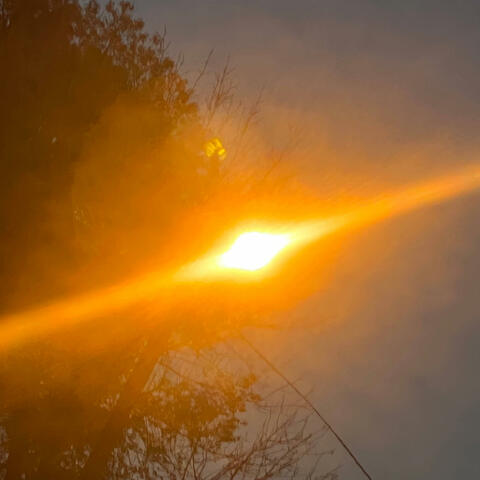 FR (feat. FreakySantana, Fantasize5k & Dabeanx)