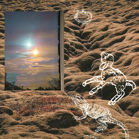 lullabies, from a lamb to a lizard