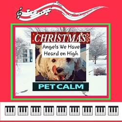 ANGELS WE HAVE HEARD ON HIGH (Pet Christmas) (feat. BREAKTHROUGH MUSIC TODAY)