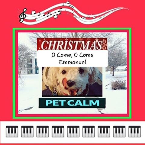 O COME, O COME EMMANUEL (Pet Christmas) (feat. BREAKTHROUGH MUSIC TODAY)