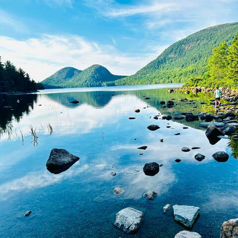 FORREST GUMP (feat. GORGONZOLA PLAYS GUITAR)