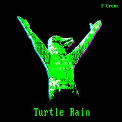 Turtle Rain