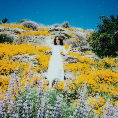 Live Among the Flowers
