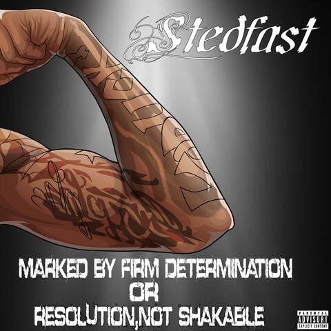 Stedfast