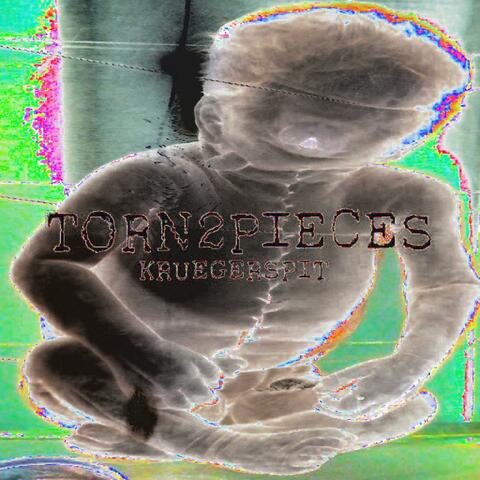 TORN2PIECES