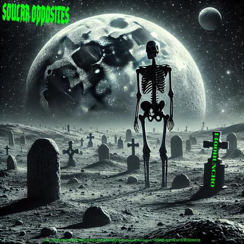 SOULAR OPPOSITES