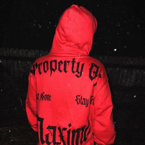 Thieves of the night