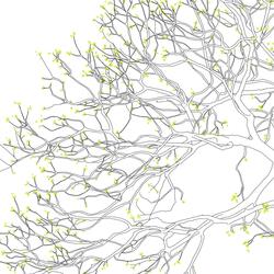 Circles (feat. Seachar)