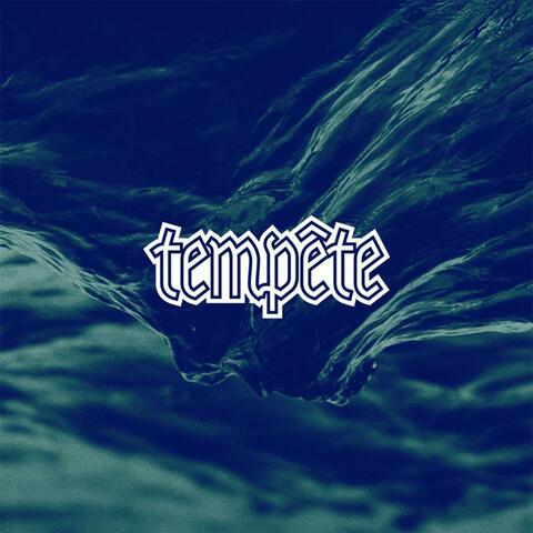 Tempête (feat. Roza)