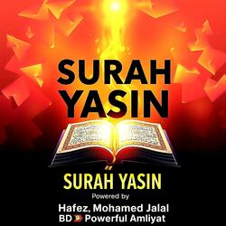 Surah Yasin | সুরা ইয়াসিন | سورة يس (Echo Version)