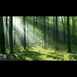 Msh 3aref (feat. Shecks)