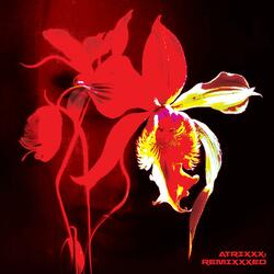 Snakeskin (madamestarlet Remix)