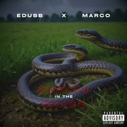 Snakes in the Grass (feat. Marco Park$)