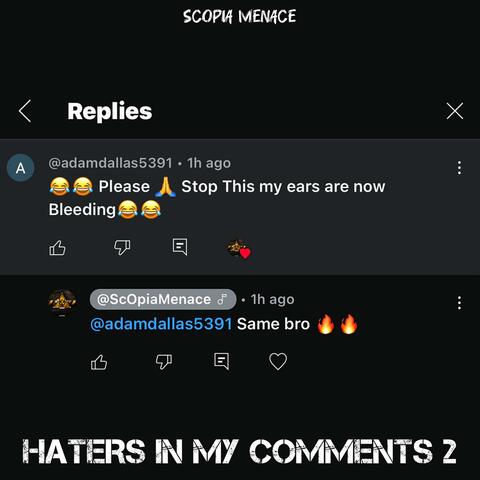 HATERS IN MY COMMENTS 2 (DISS)