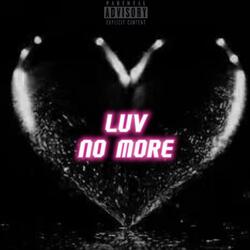 Luv No More (feat. Young Tofu)