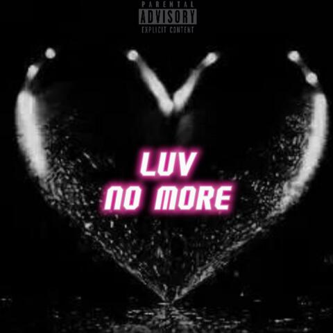 Luv No More (feat. Young Tofu)