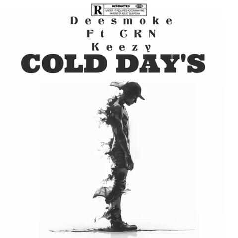 Cold Days (feat. Dee Smoke)