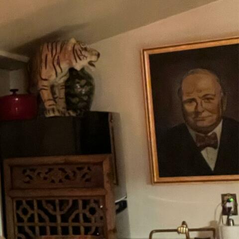 Tigers and Leaders