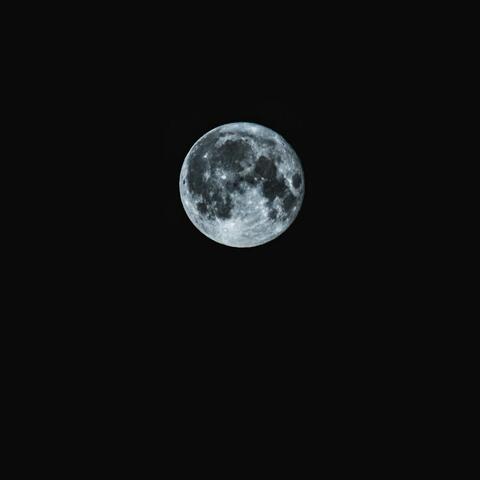 Luna's Dreams