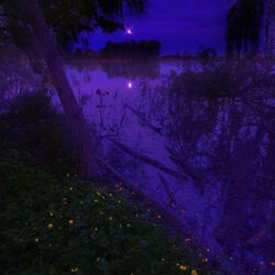 i js wanna pop a xan