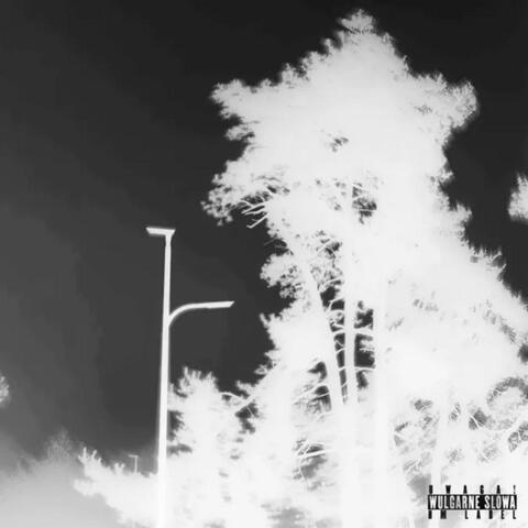 ze mną... (feat. prodby.tymbark)