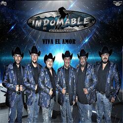 Viva el Amor