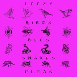 Birds, Bees, Snakes & Fleas (Part 1)