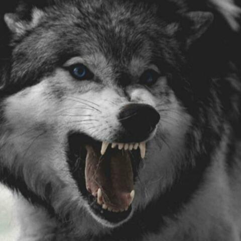 The Only Monster