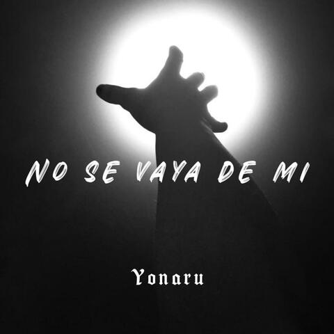 No Se Vaya De Mi