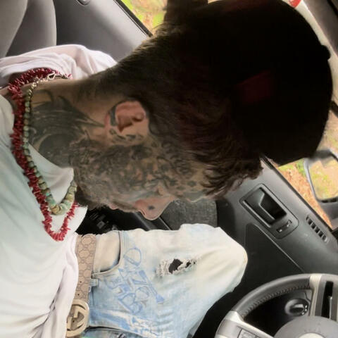 Mr shizz