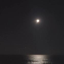 Moonbeams