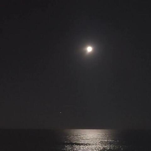 Moonbeams