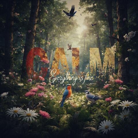 Calm (Everything is fine)