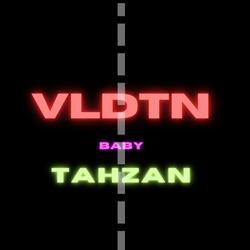 VLDTN