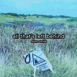 All That's Left Behind