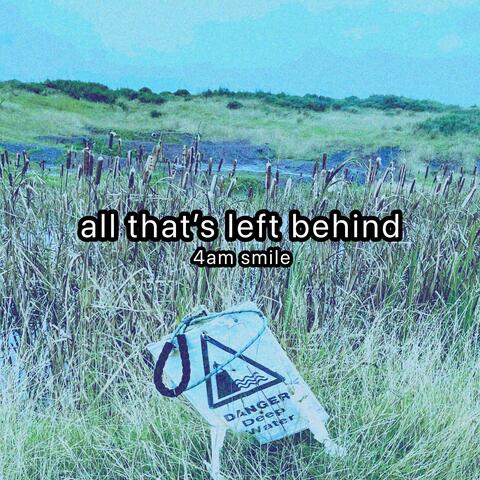 All That's Left Behind