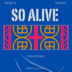 So Alive (Private Mix) (feat. Teemza)