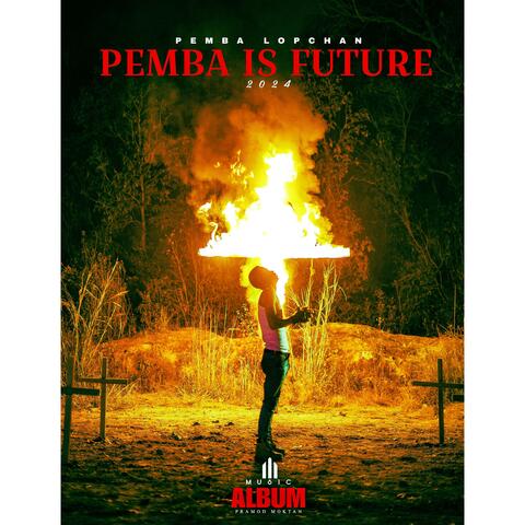 PEMBA IS FUTURE