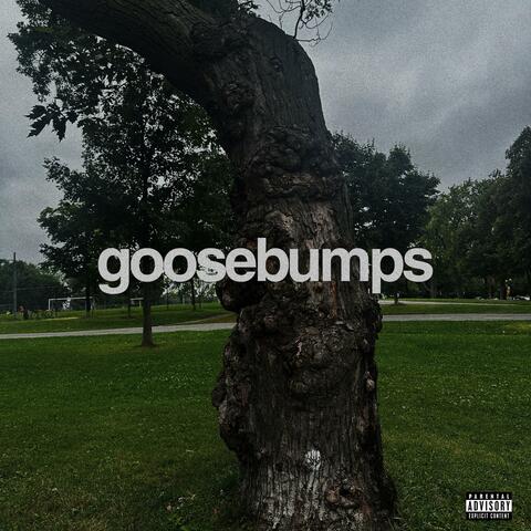 goosebumps