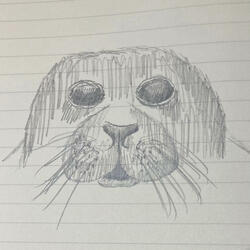 Seal