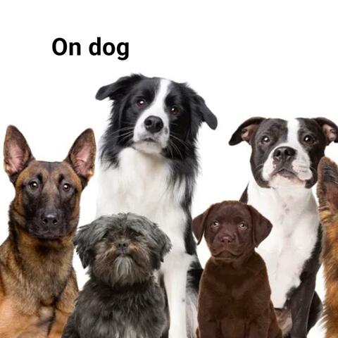 All My Dogs (feat. R3LINQ.U1SH, nocere.flp, J1TTER & aazre)
