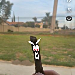 EVIL BLUNT