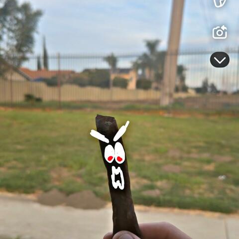 EVIL BLUNT