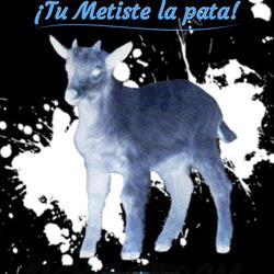¡Tu Metiste La Pata!