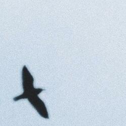 natura (maladaptive daydream)