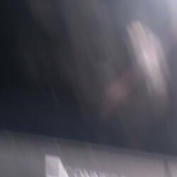 Love Is a Dog from Hell