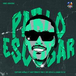 Pablo Escobar (feat. Mattonkeyz_rsa, Sir Soulic & Bavas De Dj)