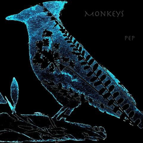 Shadow Blues