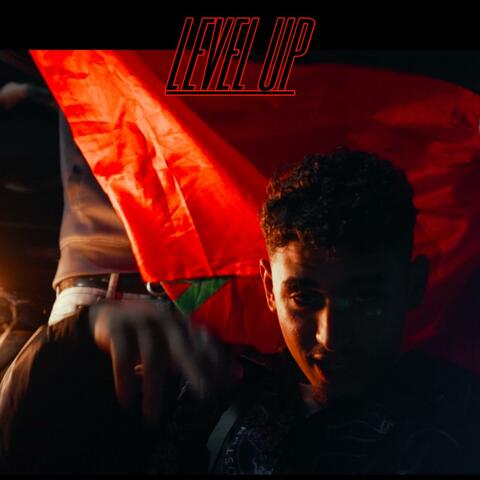 LEVEL UP